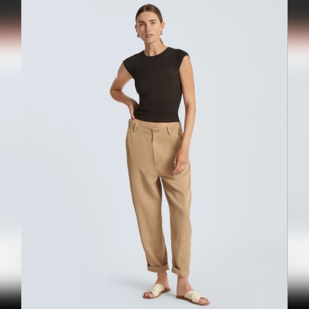 Everlane Chinos